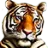 Tigran