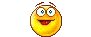 dolbaeb