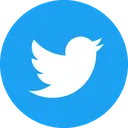 twitter twitter