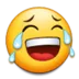 joytears joytears