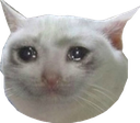 catcry1 Discord emoji
