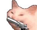 cattobangbangreverse cattobangbangreverse