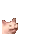 cattosmolextremeexcite