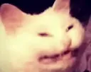 hehecat hehecat