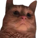 catthenperish
