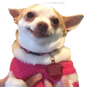634609603165945856.png?v=1