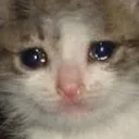 weepycatOG