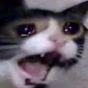 cryscreamcat