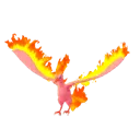 MoltresShiny