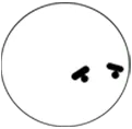 dudeuncool