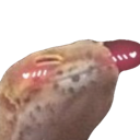 blush Discord emoji