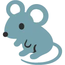 rat