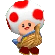 a_Toad_Boat