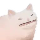 flatcat