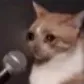 speechlesscry