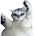 DiegoYEET
