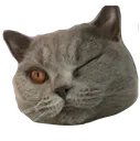 RomeoSmirk