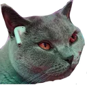 RomeoFlex