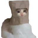 sadcatbad