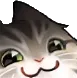 smugcat