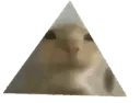 a_kotprism