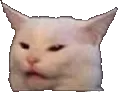 Distaste