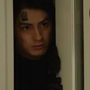 dodoor