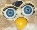 hi