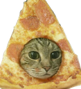 :nyshitty: Discord Emote