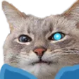 sansest