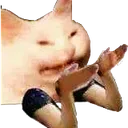 catYtho