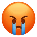 AngryCrying AngryCrying