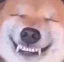 smile smile