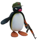 noot