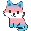 transkitty