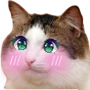 kawaiiCat