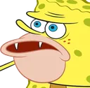 unga unga