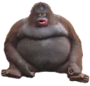 stinkypoopoo