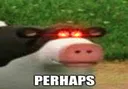 perhaps