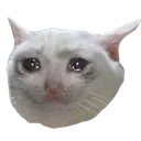 sad sad