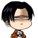 levi