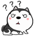 :confusedhusky: Discord Emote