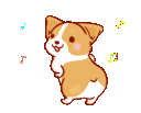 :corgibootydance: Discord Emote