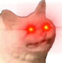 CatRage