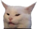 f_man_yelling_cat Discord emoji