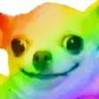 qoq9Rainbow