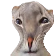 misshapenest