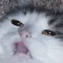 eeeeueueu