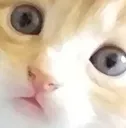 SurprisedJamesFace