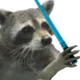 SadTraccoon